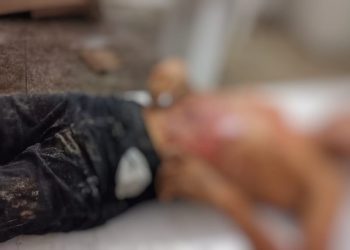 Em Porto de Moz, homem mata o cunhado e morre durante intervenção policial