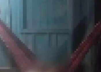 Marido e mulher foram assassinados a tiros dentro de uma rede, no município de Uruará, no sudoeste do Pará (Foto/ Gazeta Real