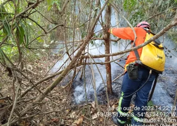 Mais de 50 focos de incêndios são registrados em Rurópolis em menos de 10 dias