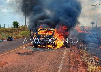 Foto: Daniel Corrêa / A Voz do Xingu