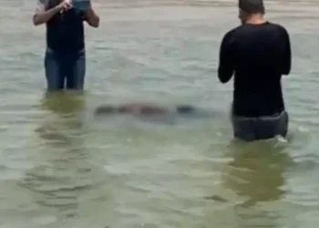 Corpo foi encontrado por frequentadores da praia (Reprodução / Giro Portal)