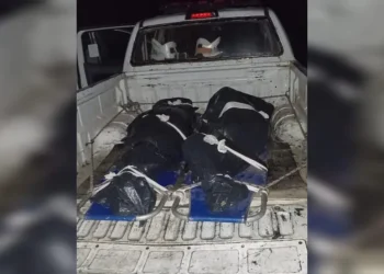 Corpos das vítimas removidos por bombeiros civis — Foto: Divulgação