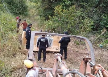 No Pará, madeireira é fechada pela terceira vez por furto de energia elétrica. — Foto: Divulgação