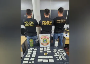 Policiais federais confirmaram denúncia de transporte ilegal de ouro, prenderam um suspeito e apreenderam o minério em Santarém — Foto: Polícia Federal / Divulgação