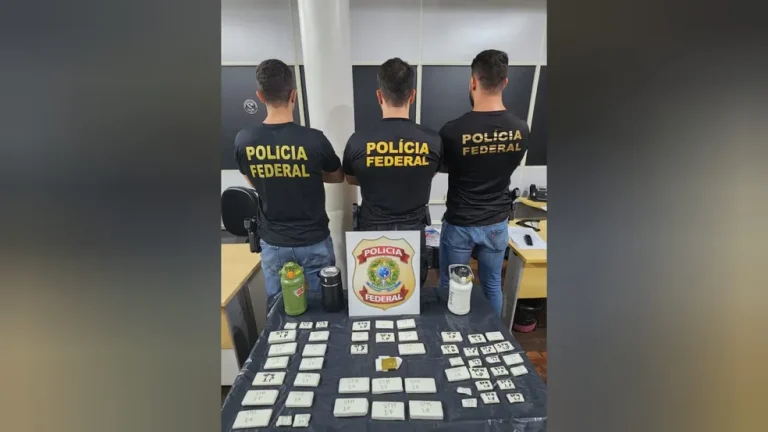 Policiais federais confirmaram denúncia de transporte ilegal de ouro, prenderam um suspeito e apreenderam o minério em Santarém — Foto: Polícia Federal / Divulgação