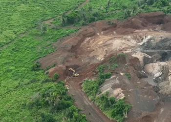Árvores foram derrubadas para tentar impedir chegada de policiais no garimpo — Foto: PF/Reprodução