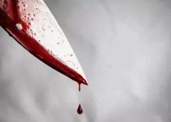 Homem tenta matar a namorada com mais de 30 facadas enquanto ela carregava bebê de dois anos