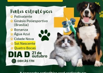 Altamira tem campanha de vacina antirrábica para cães e gatos neste sábado, 21