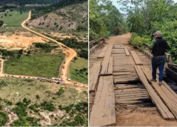 STF mantém decisão de desintrusão de Terras Indígenas no Pará