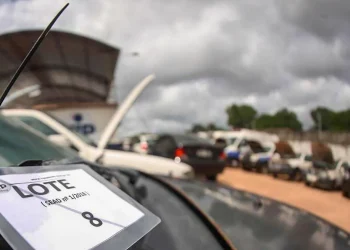 Detran realiza leilão de veículos em Belém e mais cinco municípios — Foto: Divulgação