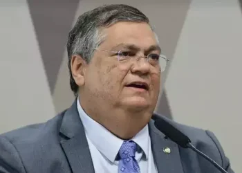 Partido Novo lançou abaixo-assinado contra a indicação de Flávio Dino ao STF (Reprodução/Pedro França/Agência Senado)