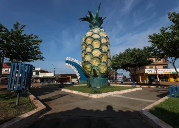 Cidade mais violenta da Amazônia fica no Pará e é marcada por conflitos de terra, aponta estudo