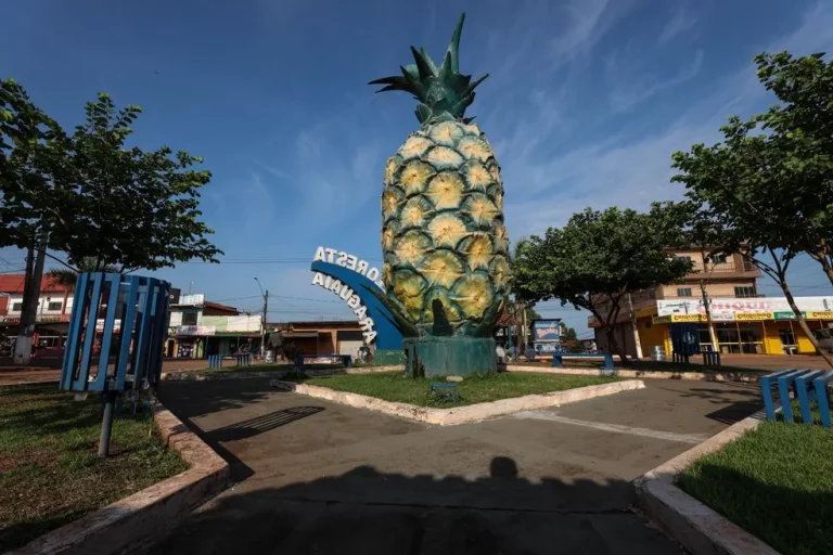 Cidade mais violenta da Amazônia fica no Pará e é marcada por conflitos de terra, aponta estudo