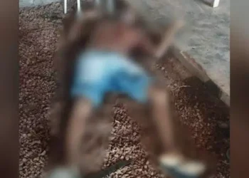 Homem é encontrado morto com perfurações em Itaituba. (Reprodução / Portal Giro)