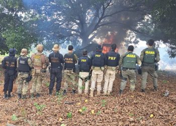 Foto: Divulgação/PF
