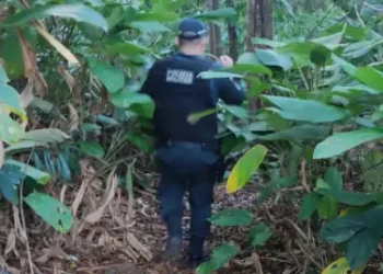 Equipes da Polícia Científica do Pará (PCP) removeram o cadáver de Raquel de Lima Pacheco ao Instituto Médico Legal (IML) para a realização do exame de necropsia, dentre outros que deverão esclarecer a causa da morte e possível dinâmica. (Divulgação)