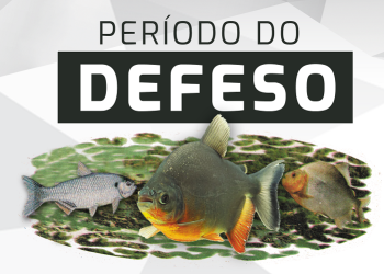 Altamira realizará cerimônia de abertura do Período do Defeso