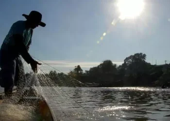 MP contempla 94 municípios em situação de emergência decorrente de estiagem reconhecida pelo Poder Executivo Federal - 20 desses municípios ficam no Pará (Arquivo/Agência Brasil)