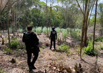 Foto: Divulgação/PC