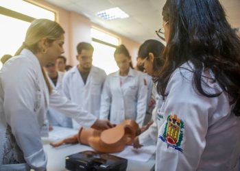 Foto: Divulgação/Agência Pará