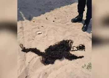 Vítima e suspeita foram levadas à delegacia pela Polícia Militar. (Reprodução / Redes sociais)