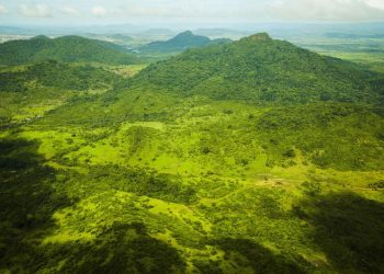 Pará registra queda de 21% no desmatamento, segundo o Inpe