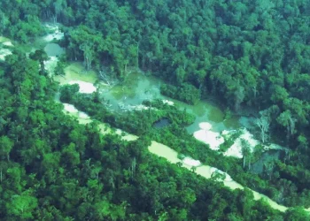 Garimpo Coringa na Terra Indígena (TI) Baú. — Foto: Divulgação / Rede Xingu+