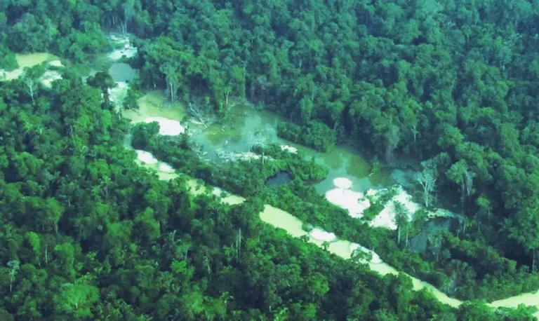 Garimpo Coringa na Terra Indígena (TI) Baú. — Foto: Divulgação / Rede Xingu+