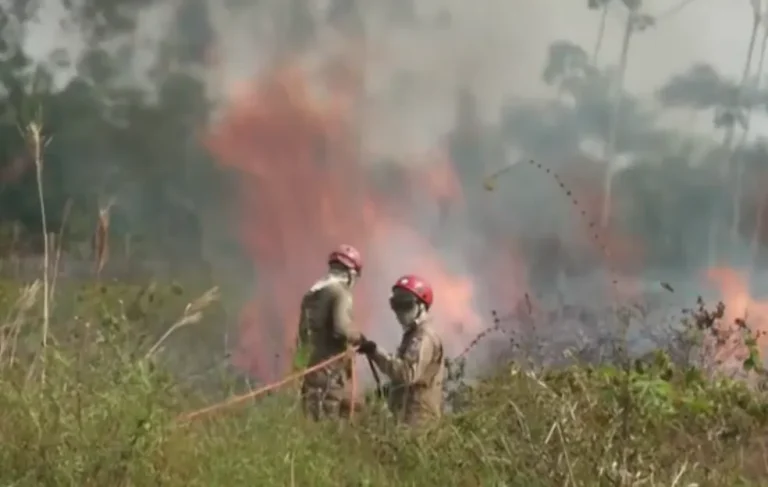 Brigadistas lutam contra o fogo na floresta amazônica. — Foto: Reprodução / TV Globo
