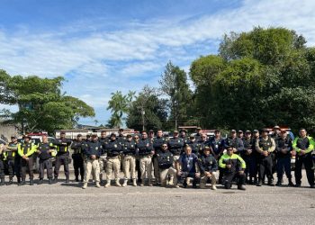 PRF lança Operação Rodovida 2023/2024 no Pará, intensificando esforços pela segurança viária