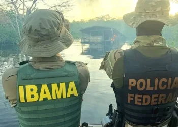 Edital para concurso do Ibama sai no início de 2024