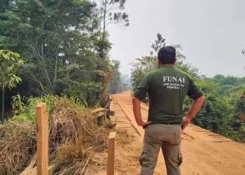 Operação de Desintrusão das Terras Indígenas Apyterewa e Trincheira Bacajá no Pará — Foto: Divulgação