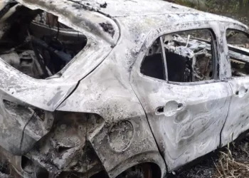 Informações que auxiliem nas investigações da Polícia Civil podem ser repassadas ao Disque-Denúncia (181). (Reprodução)