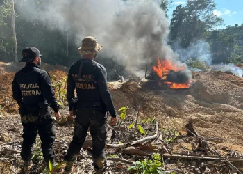 Área de garimpo ilegal é alvo de operação federal no Pará. — Foto: Reprodução / PF-PA