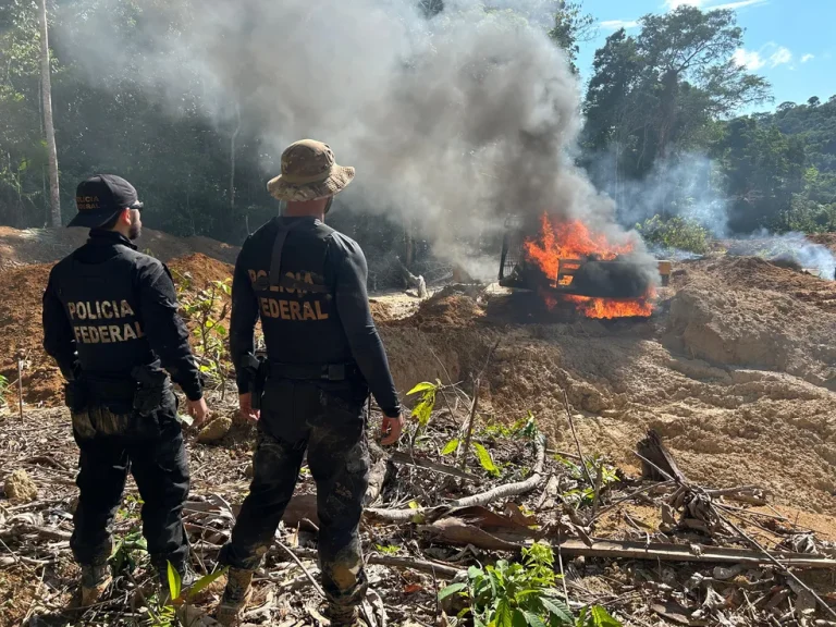 Área de garimpo ilegal é alvo de operação federal no Pará. — Foto: Reprodução / PF-PA