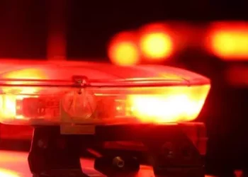 Homem é assassinado dentro de bar em região garimpeira de Itaituba