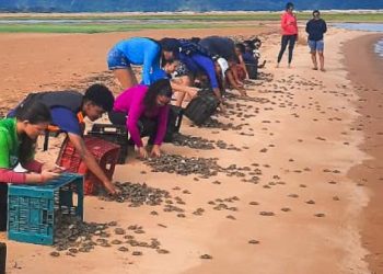 Foto: Divulgação/Agência Pará