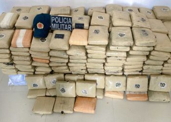 Tabletes de droga encontrados no caminhão. — Foto: PM-PA