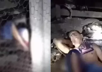 Suposto ladrão de galinha leva tiro na bunda, em Itaituba