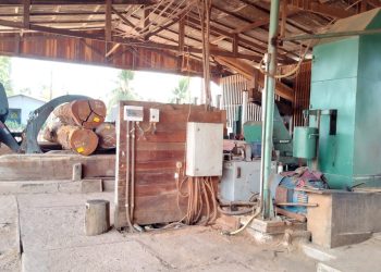 Operação policial fecha madeireira por desvio de energia elétrica em Bujaru, no PA