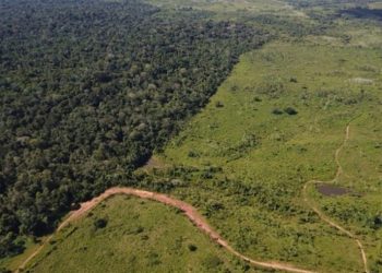 Foto: Divulgação/Incra