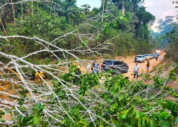 Foto: Wilson Soares / A Voz do Xingu