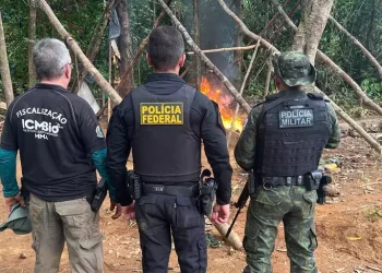 A Polícia Federal e o ICMBio fecharam garimpos ilegais que traziam risco às linhas de transmissão de energia elétrica em Parauapebas e Curionópolis, no Pará (Foto: PF de Marabá)