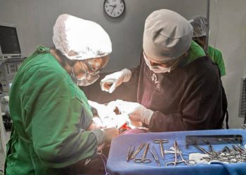 Foto: Divulgação/Agência Pará