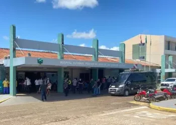 Tereza de Castro, de 23 anos, estava em coma induzido no Hospital Regional do Sudeste do Pará. (Tay Marquioro/O Liberal)