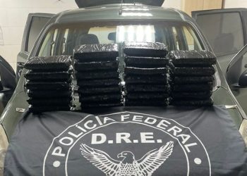 PF apreende quase 30 quilos de cocaína em caminhão-cegonha, na Grande Belém — Foto: Ascom/PF