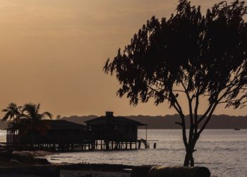 Foto: Divulgação/Agência Pará
