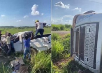 Acidente entre viatura da Funai e caminhão deixou feridos e bois mortos no Pará — Foto: TV Liberal/Reprodução