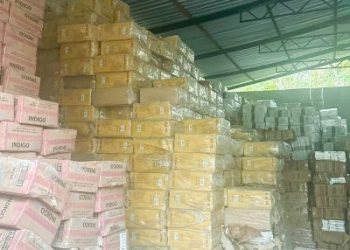 Foto: Divulgação / Agência Pará