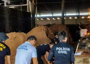 PC incinera drogas em Moju (Foto: Divulgação PCPA)